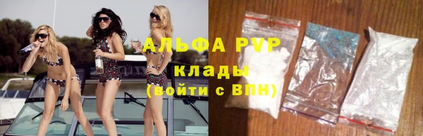 ECSTASY Белокуриха
